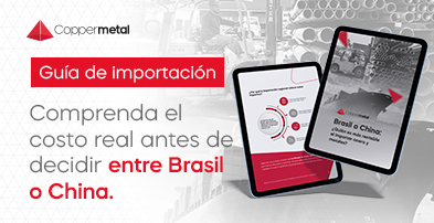 imagem Infográfico